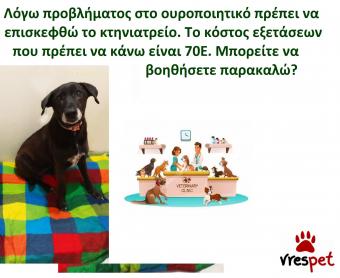 Ράτσα: Άλλη Ράτσα | Ηλικία: 4 ετών | Φύλο: Θηλυκό | Αρ. Microchip: 98102121212121 | Περιοχή: Αττική